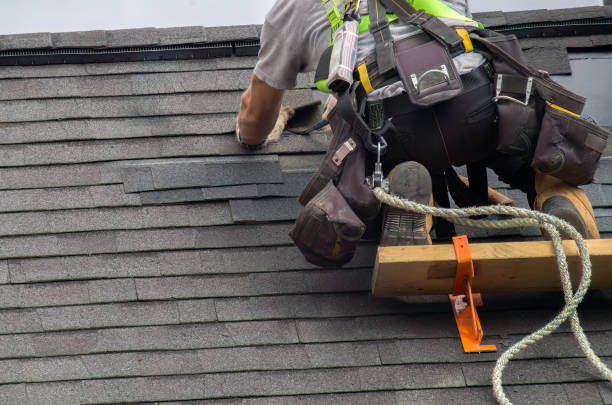 Best Roof Maintenance Services  in Douglas, MI