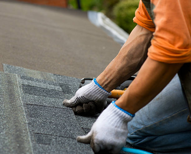 Best Roof Gutter Cleaning  in Douglas, MI