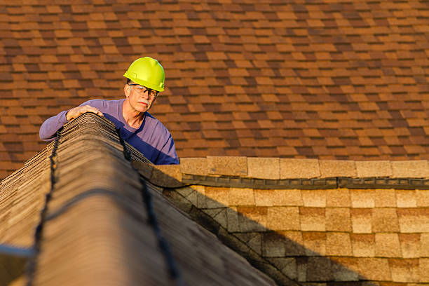 Best Flat Roof Repair Services  in Douglas, MI