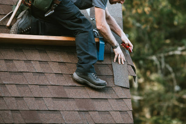 Best Commercial Roofing Services  in Douglas, MI