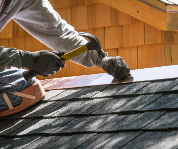 Best Storm Damage Roof Repair  in Douglas, MI
